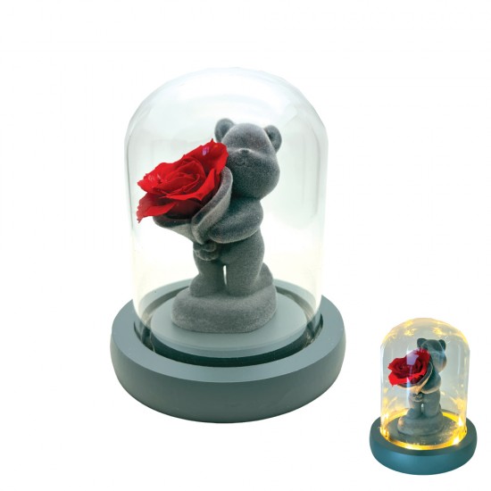 Διακοσμητικό Αρκουδάκι με Γυάλινη Καμπάνα, Φως & Forever Rose 13×11cm