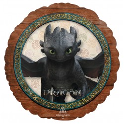 18” Μπαλόνι Toothless – Πως να εκπαιδεύσετε το Δράκο σας