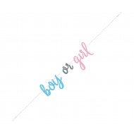 Γιρλάντα "Gender Reveal" Boy or Girl / 215 εκ