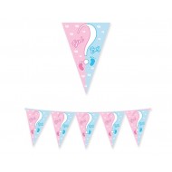 Γιρλάντα "Gender Reveal" Baby Boy or Girl / 300 εκ