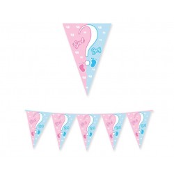 Γιρλάντα "Gender Reveal" Baby Boy or Girl / 300 εκ