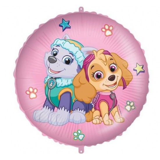 Μπαλόνι Foil 18″ Skye & Everest Μπαλόνι Foil 18″ Skye & Everest