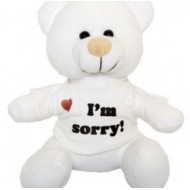 Αρκουδάκι Λούτρινο " I am sorry" 20εκ λευκό