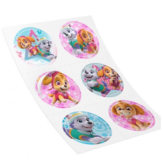 Αυτοκόλλητα Paw Patrol – Skye & Everest (6 τεμ) Αυτοκόλλητα Paw Patrol – Skye & Everest (6 τεμ)