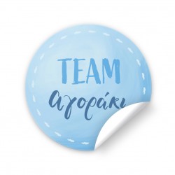 Αυτοκόλλητα Για Gender Reveal – Team Αγοράκι (6 τεμ)