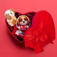 Δώρο για Ζευγάρι – Σκυλάκι Σ’ αγαπώ