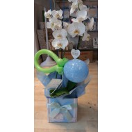 ΣΥΝΘΕΣΗ ΟΡΧΙΔΕΑ