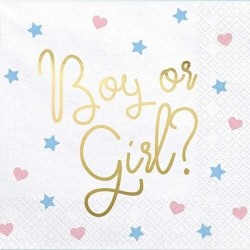 Χαρτοπετσέτες Μεγάλες “Boy or Girl” για Gender Reveal (20 τεμ)