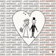 Χαρτοπετσέτες Μεγάλες Wedding Day