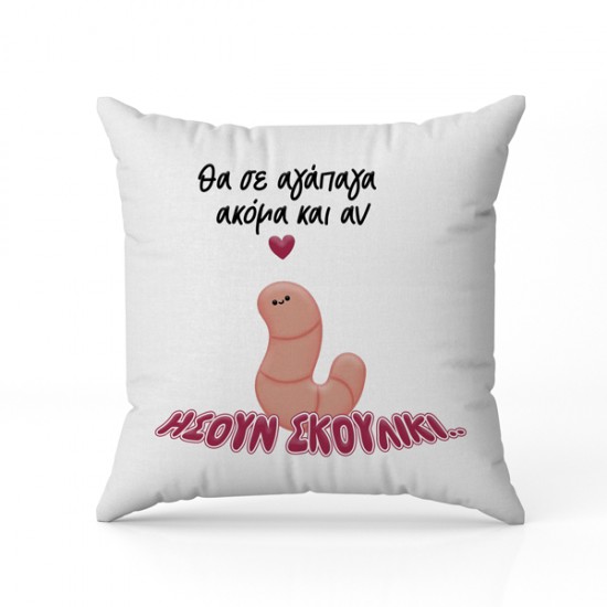 Μαξιλάρι αγάπης This Could be