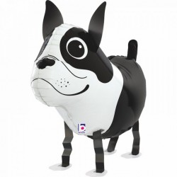 Μπαλόνι Σκυλάκι Boston Terrier που περπατάει