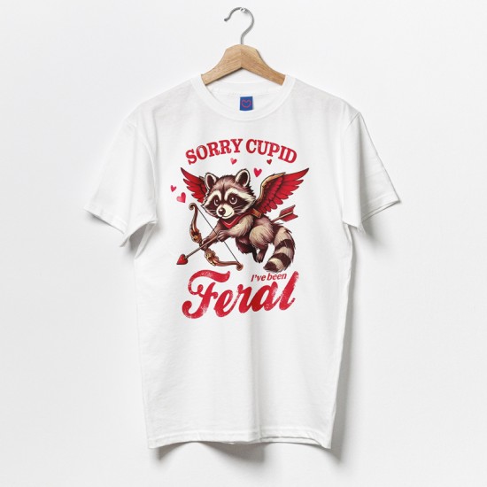 Μπλούζα Αγίου Βαλεντίνου – Sorry Cupid