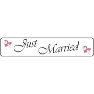 Πινακίδα αυτοκινήτου γάμου Just Married Περιστέρια