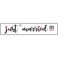 Πινακίδα αυτοκινήτου γάμου Just Married