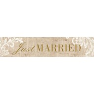 Πινακίδα αυτοκινήτου γάμου Just Married Vintage