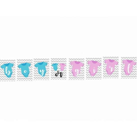 Σημαιάκια Gender Reveal Σημαιάκια Gender Reveal