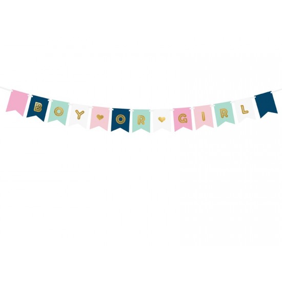 Σημαιάκια “Boy or Girl” Σημαιάκια “Boy or Girl”