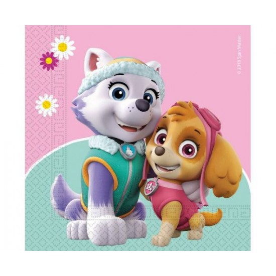 Χαρτοπετσέτες Μεγάλες Paw Patrol Skye & Everest (20 τεμ) Χαρτοπετσέτες Μεγάλες Paw Patrol Skye & Everest (20 τεμ)